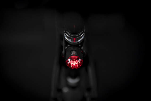 CP Rifle Two-Point Sling